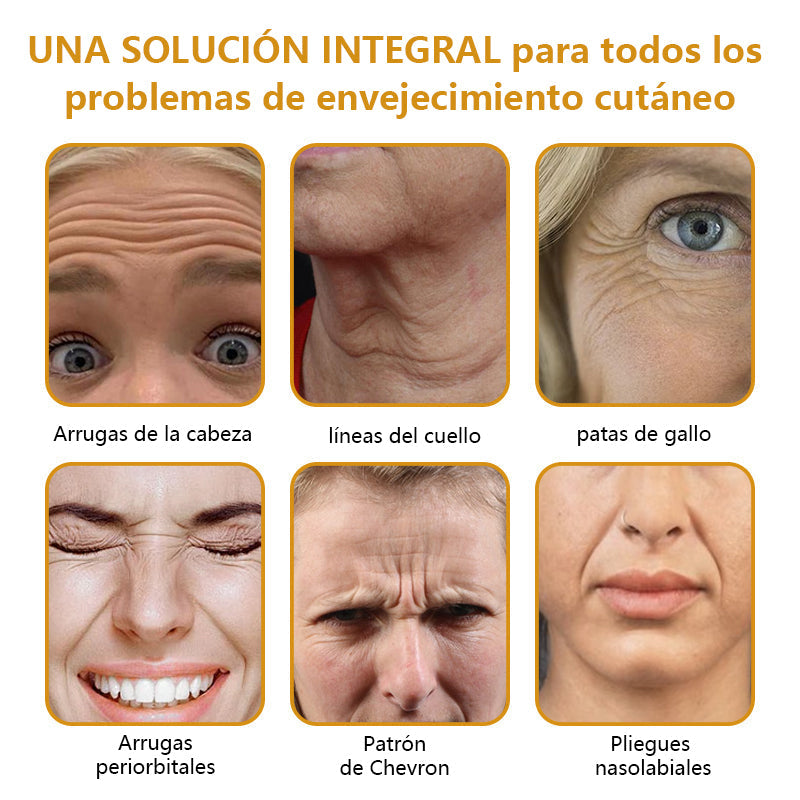 Encabezado