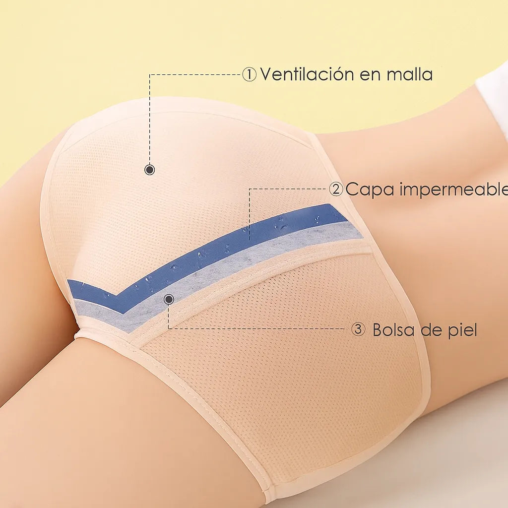 Encabezado
