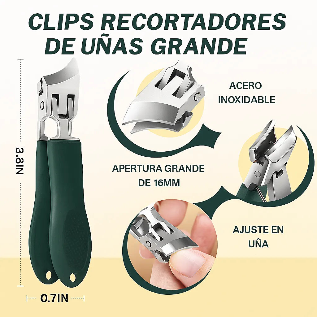 Encabezado